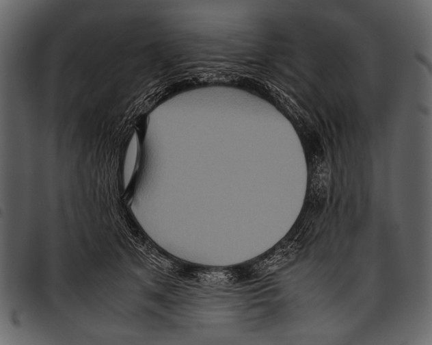 X0000097480513200803201512