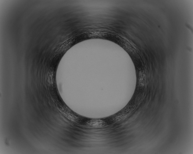 X0000097480514200803201512