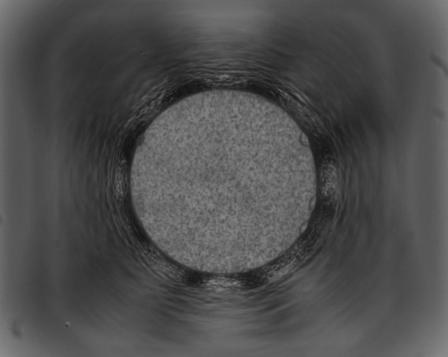 X0000097480515200803201512