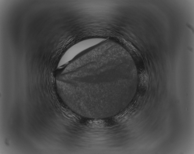 X0000097480517200803201512