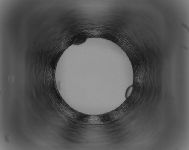 X0000097480518200803201512