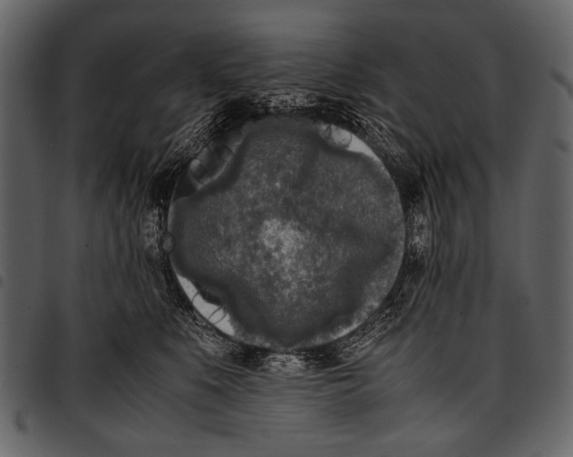 X0000097480519200803201512