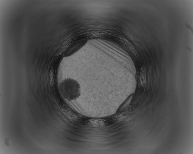 X0000097480520200803201512