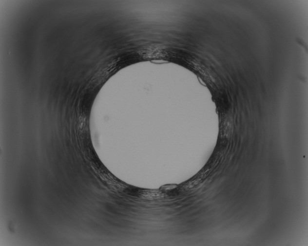 X0000097480521200803201512