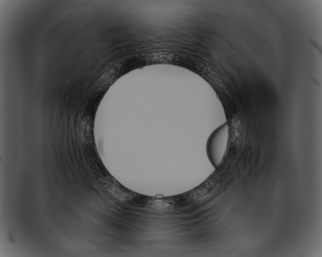 X0000097480522200803201512