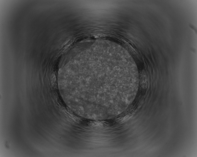 X0000097480523200803201512