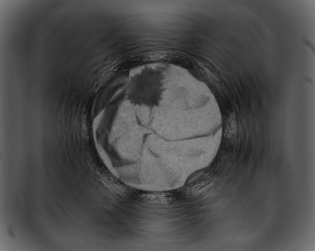 X0000097480524200803201512