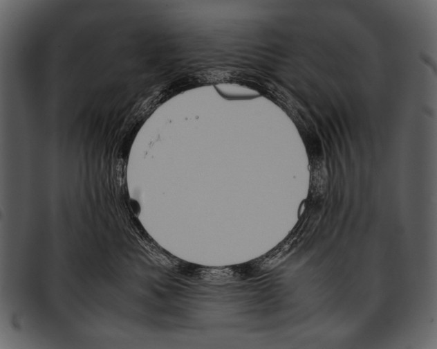 X0000097480525200803201512