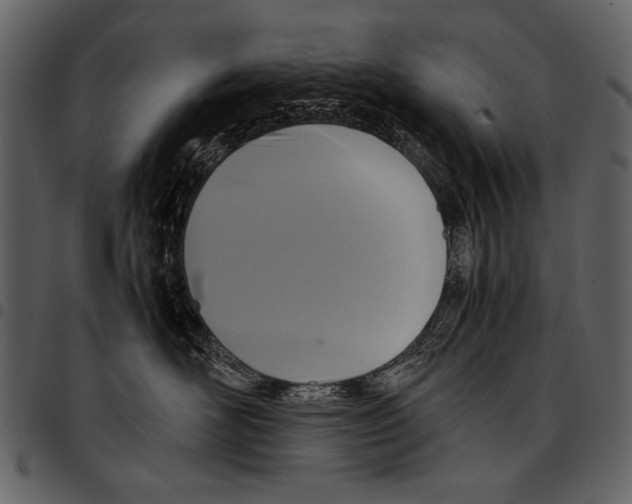 X0000097480526200803201512