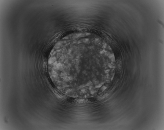 X0000097480527200803201512