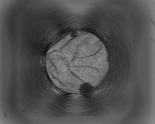 X0000097480528200803201512