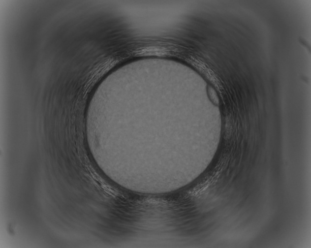 X0000097480529200803201511