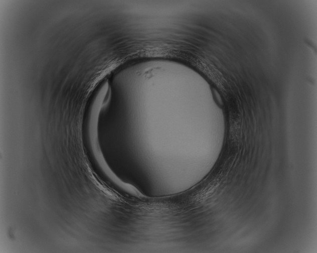 X0000097480530200803201511