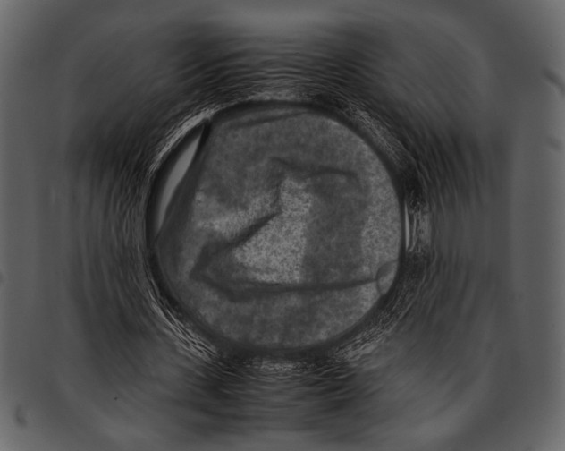 X0000097480531200803201511