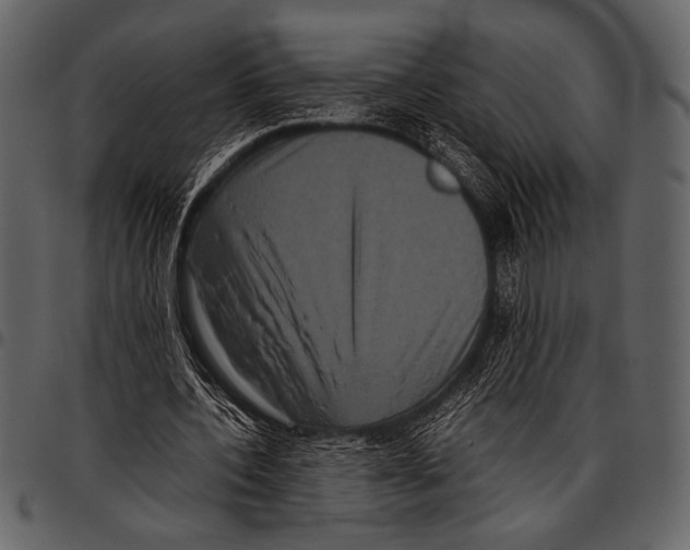 X0000097480532200803201511