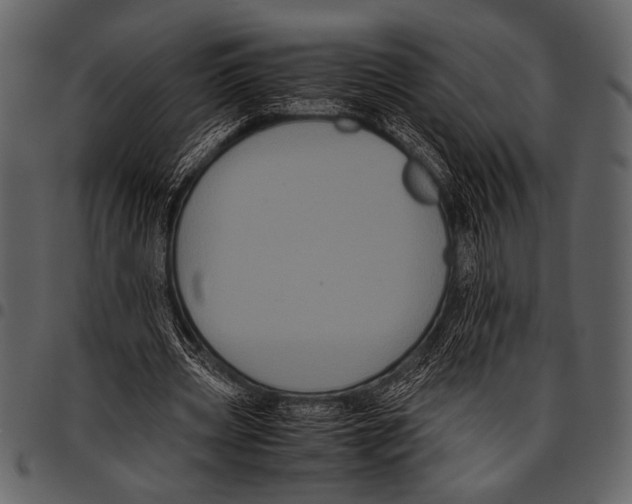 X0000097480533200803201511