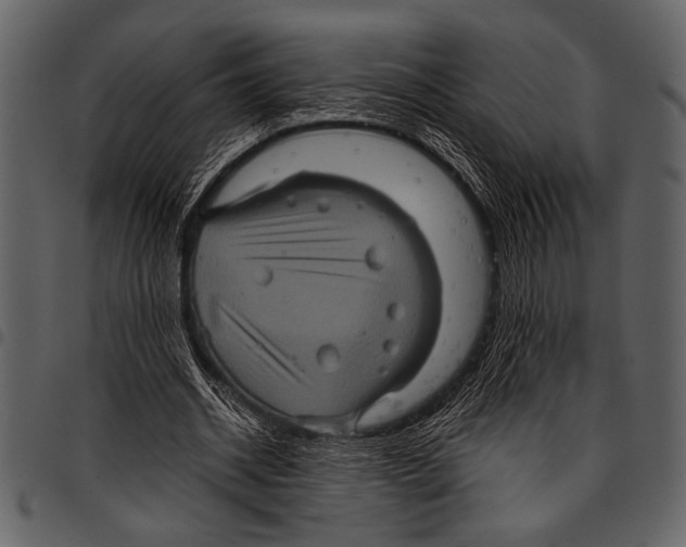 X0000097480534200803201511