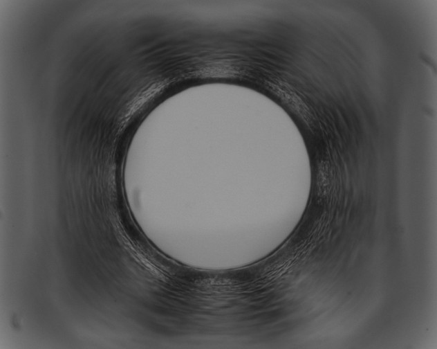 X0000097480535200803201511