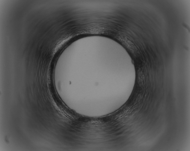 X0000097480536200803201511