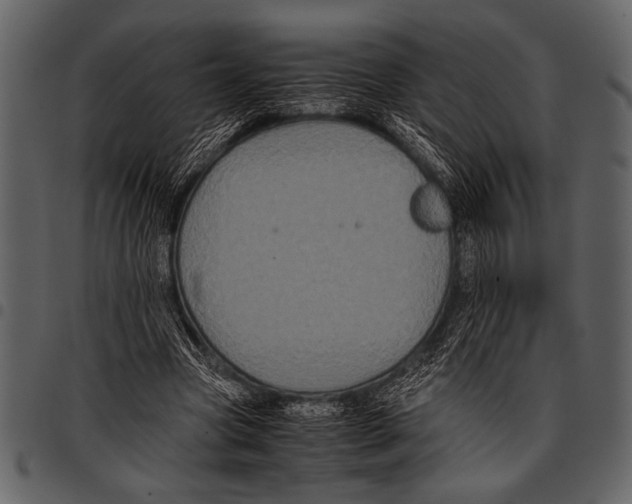 X0000097480537200803201511