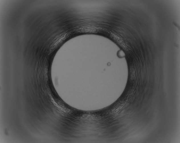 X0000097480538200803201511