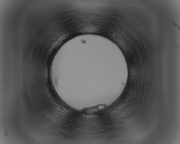 X0000097480539200803201511