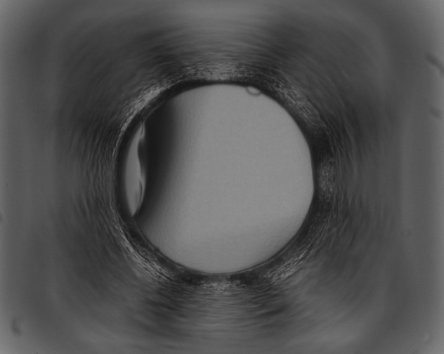 X0000097480540200803201511