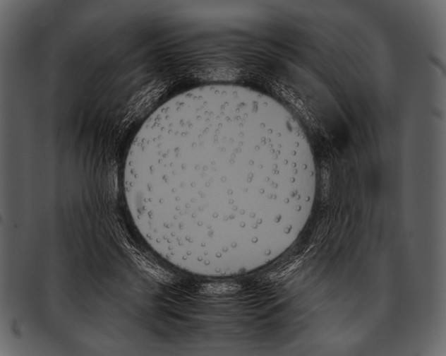 X0000097480541200803201511