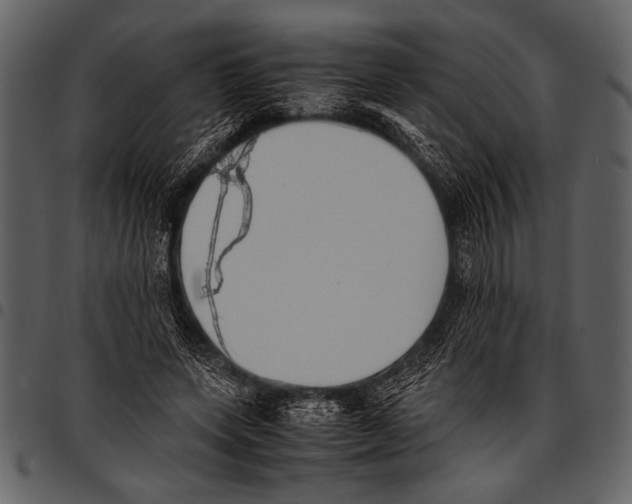 X0000097480543200803201511