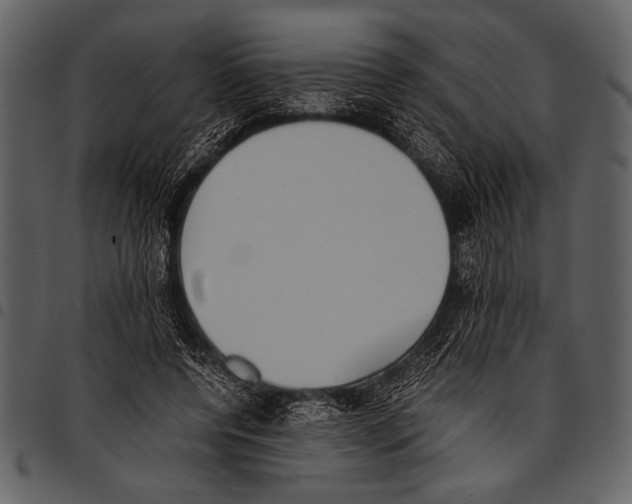 X0000097480544200803201511