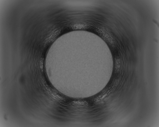 X0000097480545200803201511