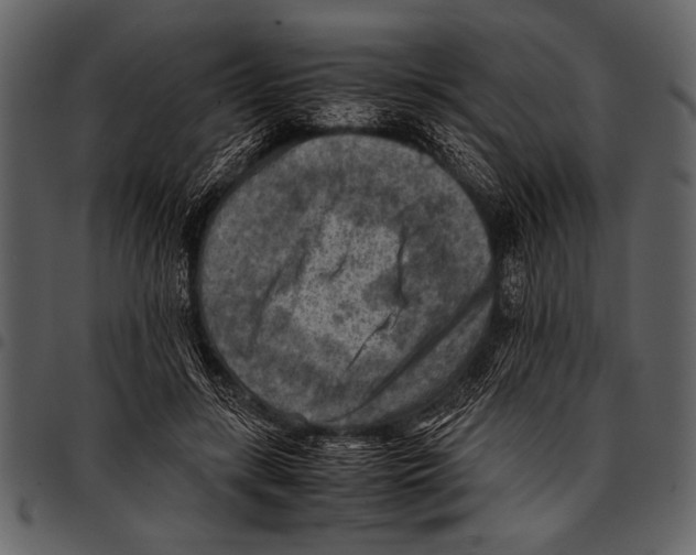 X0000097480547200803201511