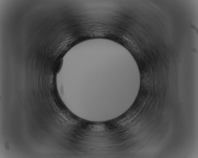 X0000097480548200803201511