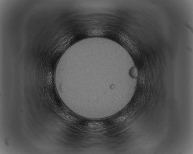 X0000097480549200803201511