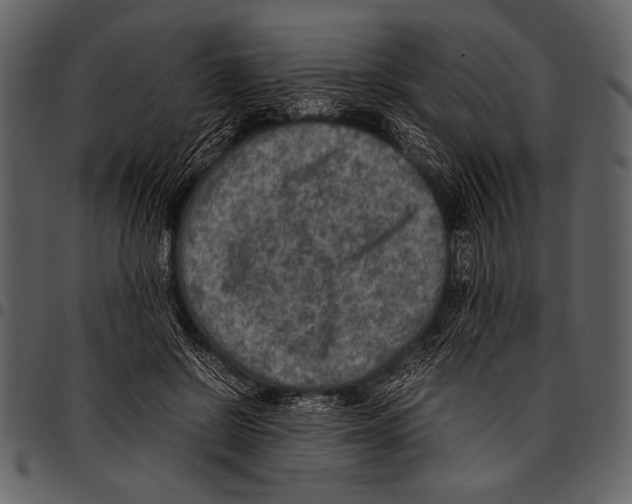 X0000097480550200803201511