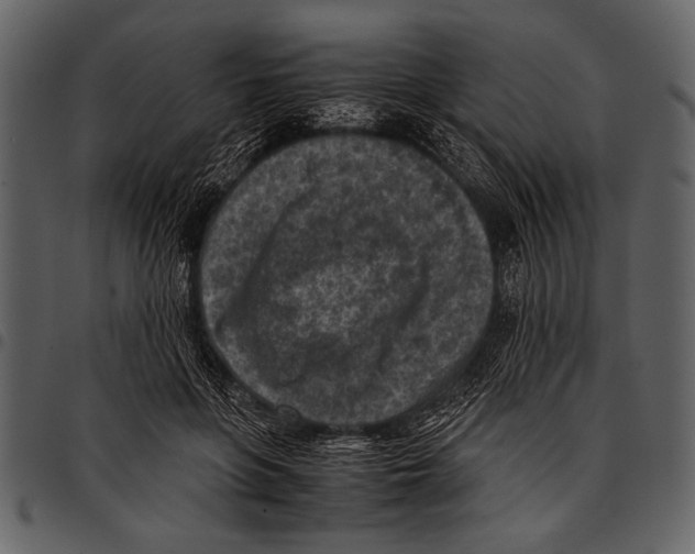 X0000097480551200803201511