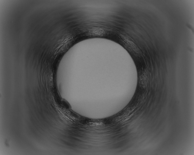 X0000097480552200803201511