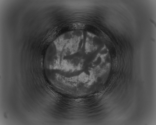 X0000097480553200803201511