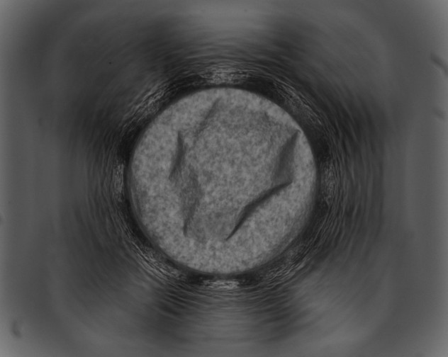 X0000097480554200803201511