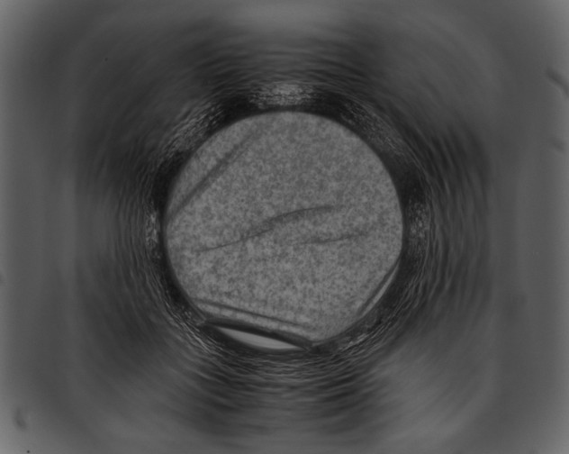 X0000097480555200803201511