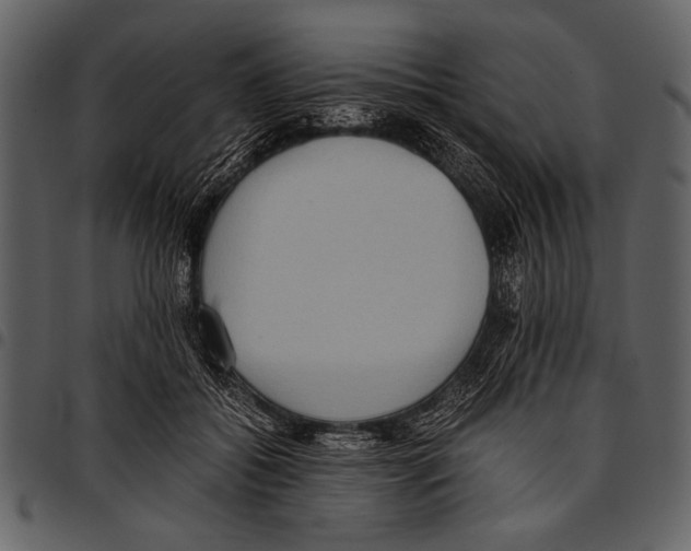 X0000097480556200803201511