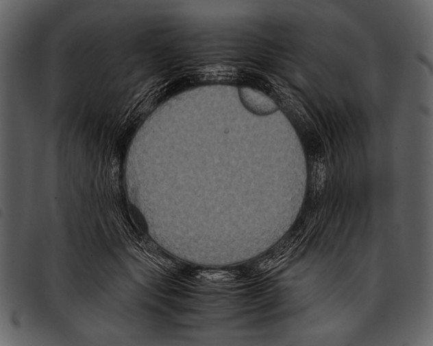 X0000097480557200803201511