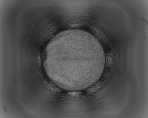 X0000097480558200803201511