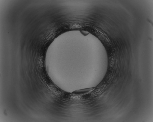 X0000097480560200803201511