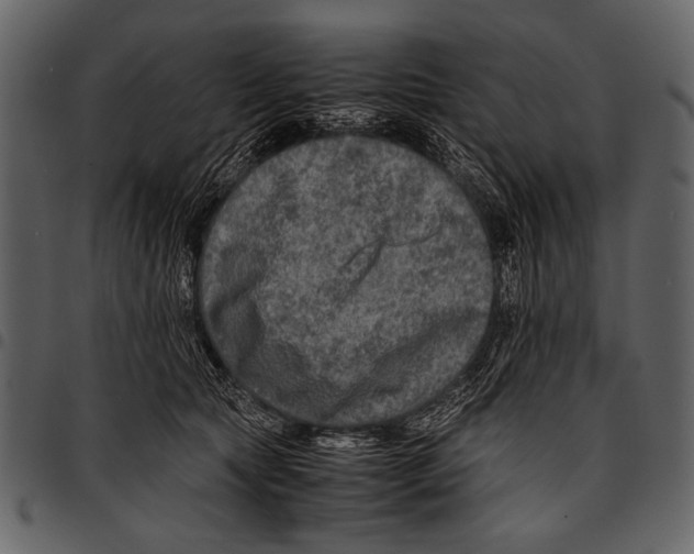 X0000097480561200803201511