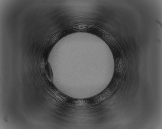 X0000097480562200803201511