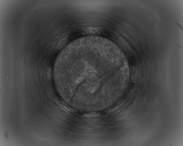 X0000097480563200803201512