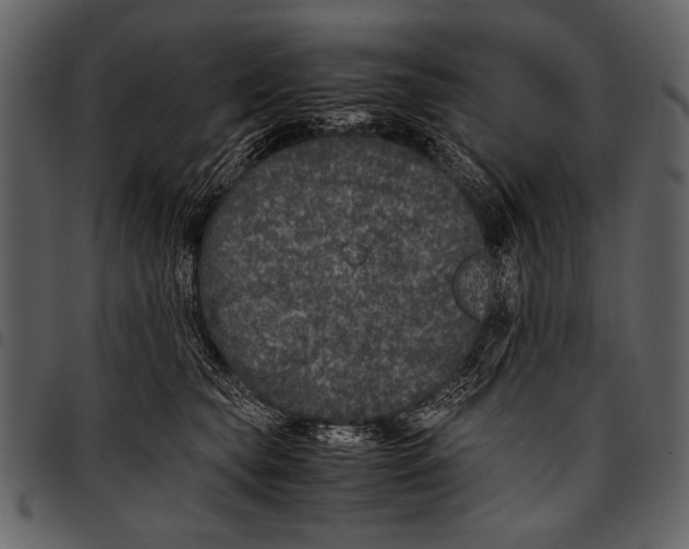 X0000097480565200803201512