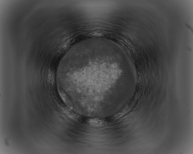 X0000097480568200803201512