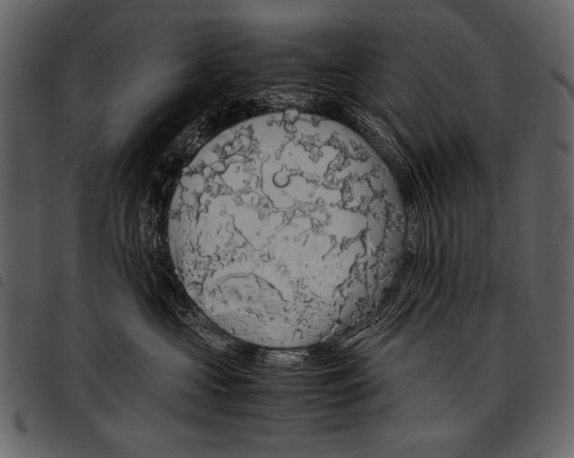 X0000097480573200803201512